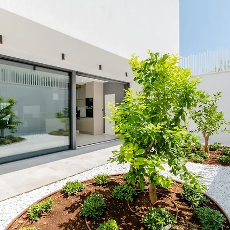 Vitae & Pax * Sutivan