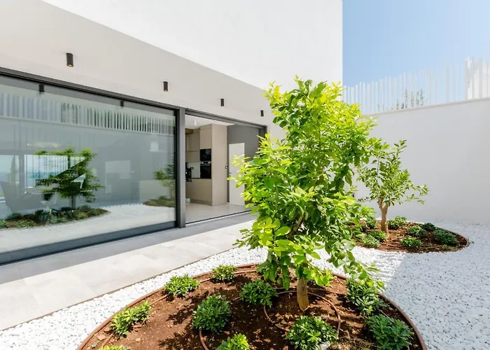 Vitae & Pax * Sutivan